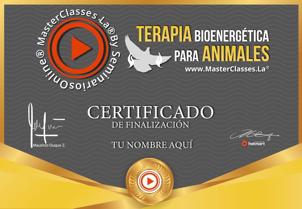 Terapia Bioenergética para Animales