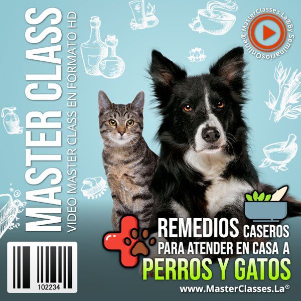 Remedios Caseros para atender en casa a Gatos y Perros