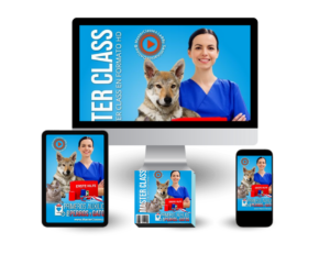 Primeros Auxilios para Perros y Gatos Mockups
