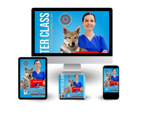 Primeros Auxilios para Perros y Gatos Mockups