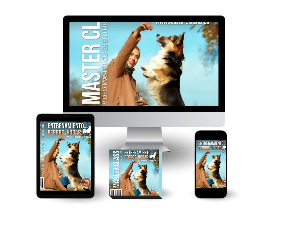 Entrenamiento para perros de hogar Mockups