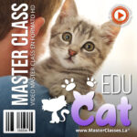 Educat