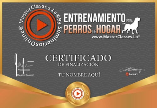 Entrenamiento para perros de hogar Certificado
