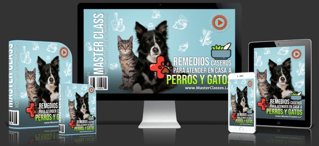 Remedios Caseros para atender en casa a Gatos y Perros