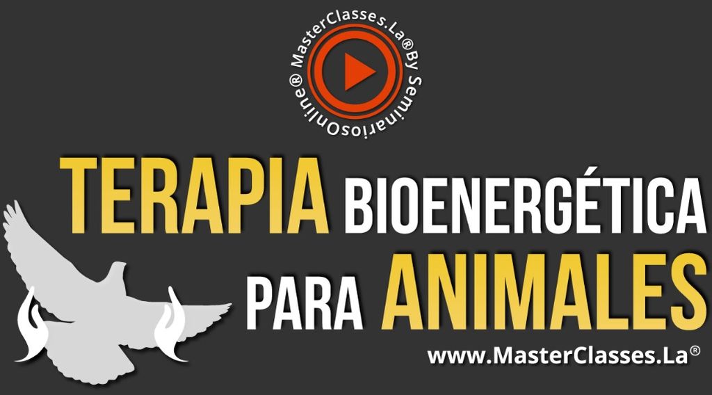 Terapia Bioenergética para Animales