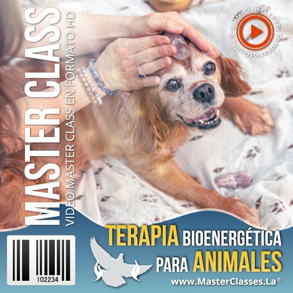 Terapia Bioenergética para Animales certificado