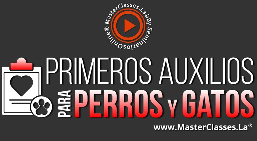 Primeros Auxilios para Perros y Gatos Titulo