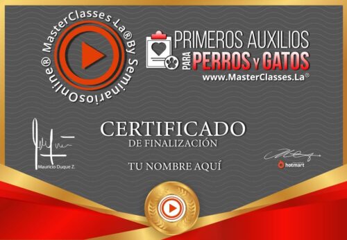 Primeros Auxilios para Perros y Gatos Certificado