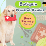Cómo armar un botiquín de primeros auxilios para tu mascota ?