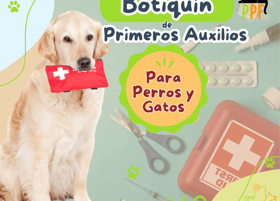 Cómo armar un botiquín de primeros auxilios para tu mascota ?