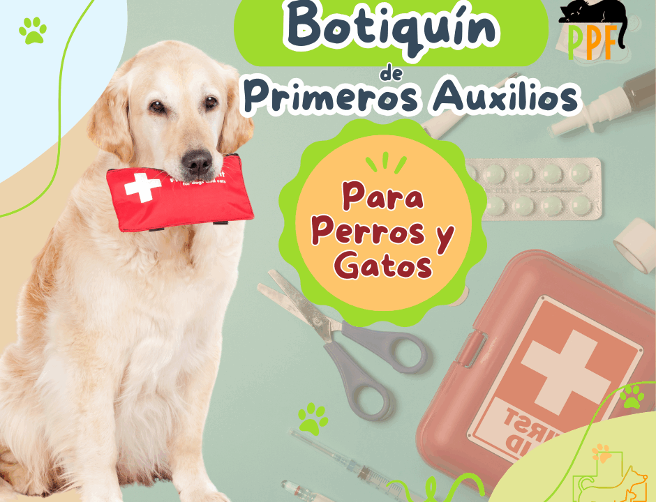 Cómo armar un botiquín de primeros auxilios para tu mascota ?