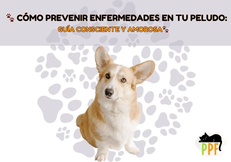 como prevenir enfermedades en tus mascotas