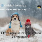 cómo cuidar a las mascotas del frío